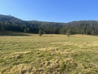 2374 Upper Mongogarie Road Upper Mongogarie NSW 2470 - Image 1