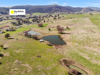 585 Grahamstown Road Adelong NSW 2729 - Image 1