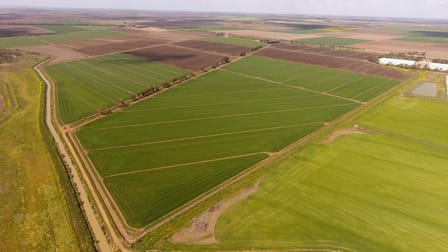 Farm “1069”/281 North Kooba Settlers Road Kooba NSW 2680 - Image 1