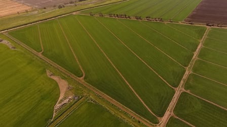 Farm “1069”/281 North Kooba Settlers Road Kooba NSW 2680 - Image 3