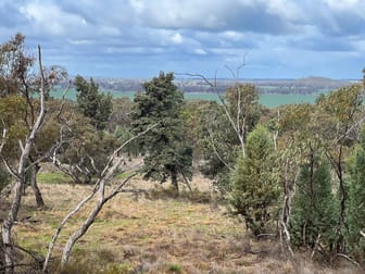 Mt Alma and Beulah Condobolin NSW 2877 - Image 3