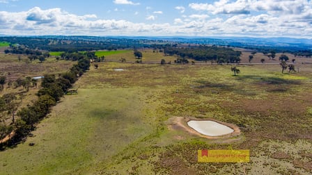 45 Neeleys Lane Cassilis NSW 2329 - Image 1