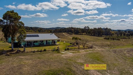 100 Triamble Road Mudgee NSW 2850 - Image 1