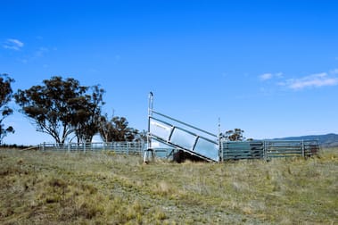 1453 Windeyer Road Mudgee NSW 2850 - Image 3