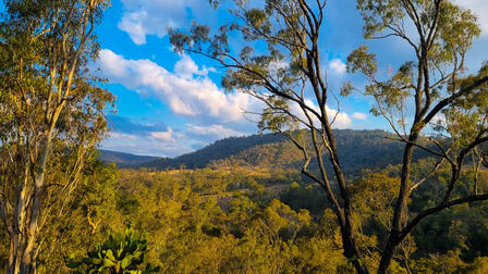 Lot 109 Davis Road West Haldon QLD 4359 - Image 2