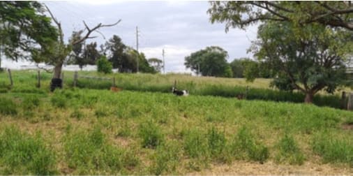 544 Hoya Road Teviotville QLD 4309 - Image 1