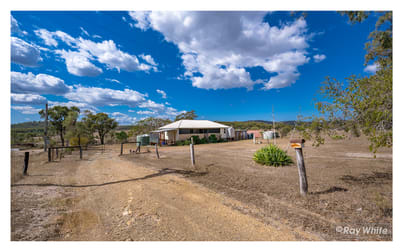 113 Dendle Road Milman QLD 4702 - Image 1