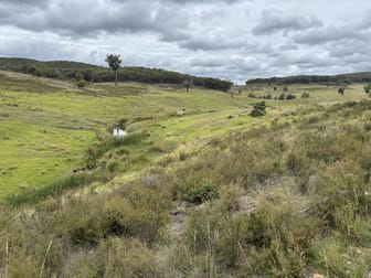 1016 Ullamalla Road Mudgee NSW 2850 - Image 3