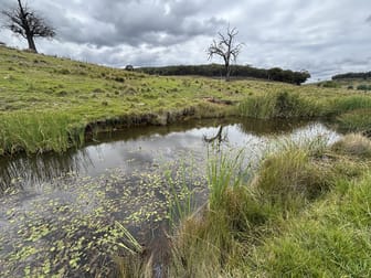 1016 Ullamalla Road Mudgee NSW 2850 - Image 1