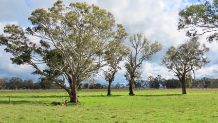 3897 Casterton Penola Road Penola SA 5277 - Image 2