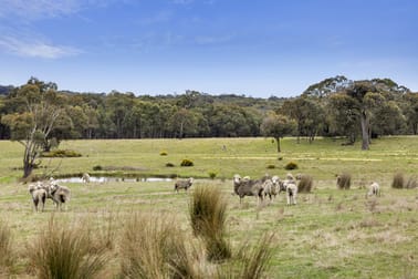 219 Leslies Road Mount Franklin VIC 3461 - Image 3