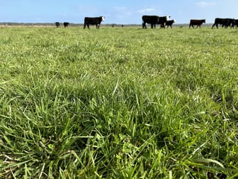 Click to view all images 703 Bog Lane Nora Creina SA 5276 - Image 1