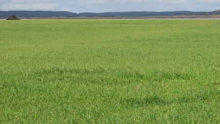 Click to view all images 703 Bog Lane Nora Creina SA 5276 - Image 2