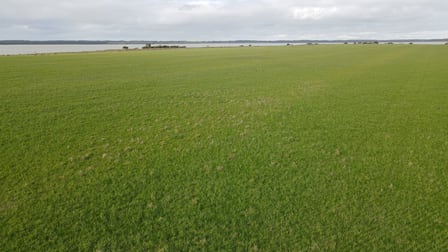 Click to view all images 703 Bog Lane Nora Creina SA 5276 - Image 3