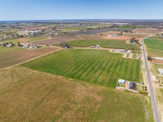 7 Leachs Road Red Cliffs VIC 3496 - Image 2