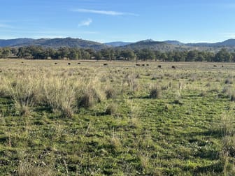 471 McDonalds Creek Road Parraweena NSW 2339 - Image 3
