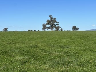 Click to view all images Maybank, Roachdale Road Holbrook NSW 2644 - Image 2