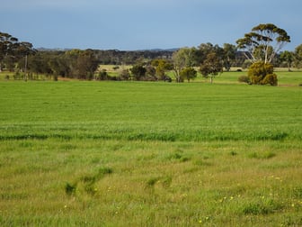 Lot 1 Narrogin Valley Road Narrogin Valley WA 6312 - Image 3