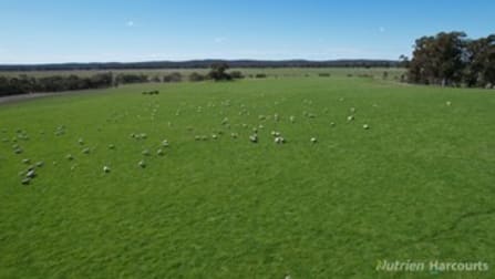 "Parke's" Leys Road Lexton VIC 3352 - Image 3