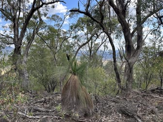 "Mountain View" Berrigal NSW 2390 - Image 1