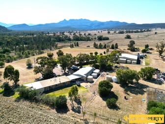 196 Teatree Gully Road Bullawa Creek NSW 2390 - Image 3