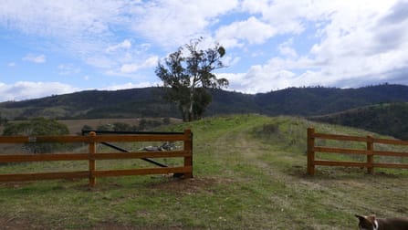 1674 Palmers Oakey Road Upper Turon NSW 2795 - Image 3