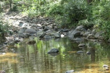 Click to view all images 201 Bellbird Road Drake NSW 2469 - Image 3