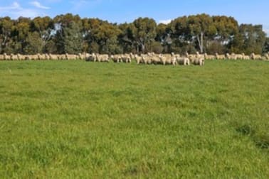 Click to view all images 1067 Darlington-Carranballac Road Darlington VIC 3271 - Image 2