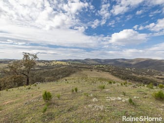 1910 Limekilns Road Limekilns NSW 2795 - Image 3