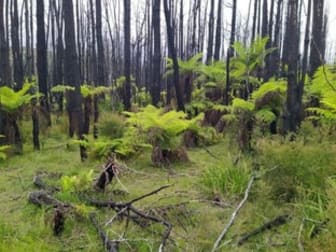 421 Rose Valley Road Wog Wog NSW 2622 - Image 3