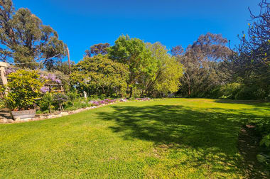 287 Stewarts Range Road Naracoorte SA 5271 - Image 3