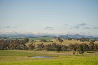 Lot/3 Garryowen Road Binalong NSW 2584 - Image 1