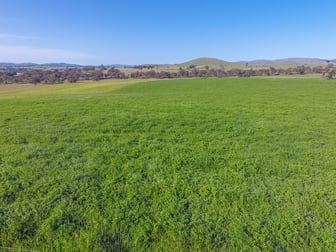 Lot/3 Garryowen Road Binalong NSW 2584 - Image 3