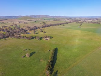 Lot/4 Garryowen Road Binalong NSW 2584 - Image 3