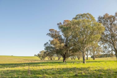 Lot/5 Cattle Street Binalong NSW 2584 - Image 1
