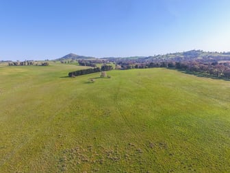 Lot/5 Cattle Street Binalong NSW 2584 - Image 2