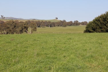 Lot/5 Cattle Street Binalong NSW 2584 - Image 3