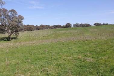 Lot/6 Cattle Street Binalong NSW 2584 - Image 2