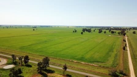 Pine Grove Road Berrigan NSW 2712 - Image 1