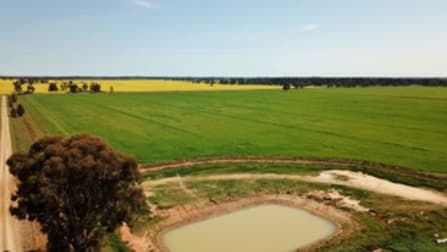 Pine Grove Road Berrigan NSW 2712 - Image 2