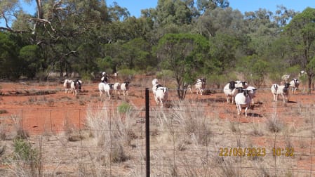 * The Retreat Cobar NSW 2835 - Image 1