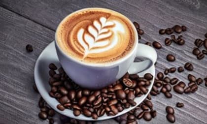 Food, Beverage & Hospitality  business for sale in Broadbeach - Image 1