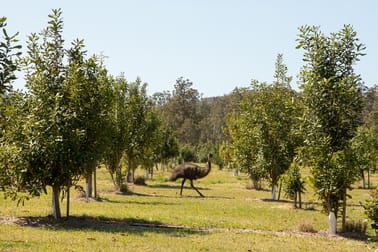 71 Red Root Road Pillar Valley NSW 2462 - Image 3