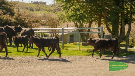 406-408 O'Connell Road Oberon NSW 2787 - Image 3