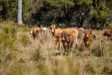 Lot 2/948 Aherns Road Conondale QLD 4552 - Image 3