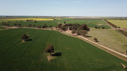 2380 Berrigan Road Jerilderie NSW 2716 - Image 3