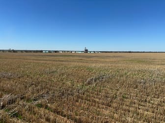 - Woorinen-Goschen Road Woorinen South VIC 3588 - Image 1