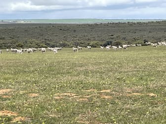 Lot 100 First North Road Kadathinni WA 6519 - Image 3