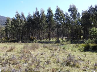 2140066, 2140066 Hop Valley Road Blackwood Creek TAS 7301 - Image 1