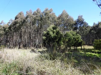 2140066 Hop Valley Road Blackwood Creek TAS 7301 - Image 3